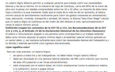Preguntas Frecuentes sobre «Salarios Dignos»