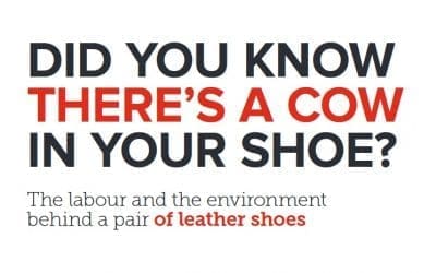 DID YOU KNOW THERE’S A COW IN YOUR SHOE?