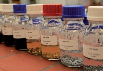 Un test revela que el cromo VI ya no es un peligro para quienes llevan zapatos de cuero, tras la entrada en vigor de la nueva normativa de la UE